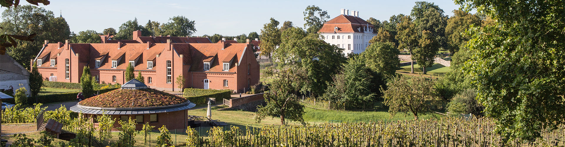 Blick auf Schlosswirt Meseberg